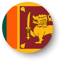 Asset 232