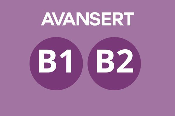Norskkurs B1-B2