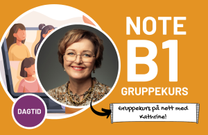 Norskkurs B1– 50 Timer Gruppekurs på Nett DAGTID